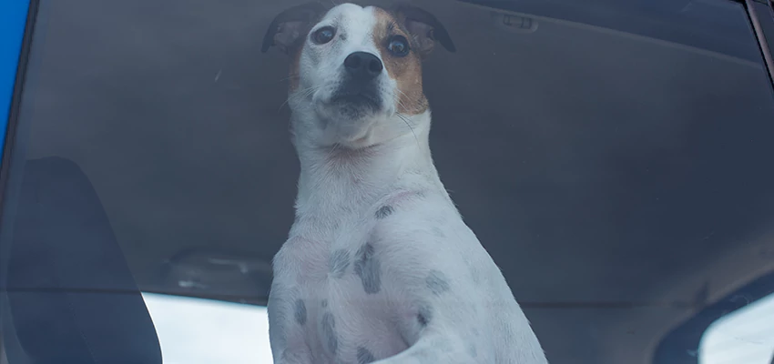 Car Lockout Solutions in La Puente, California